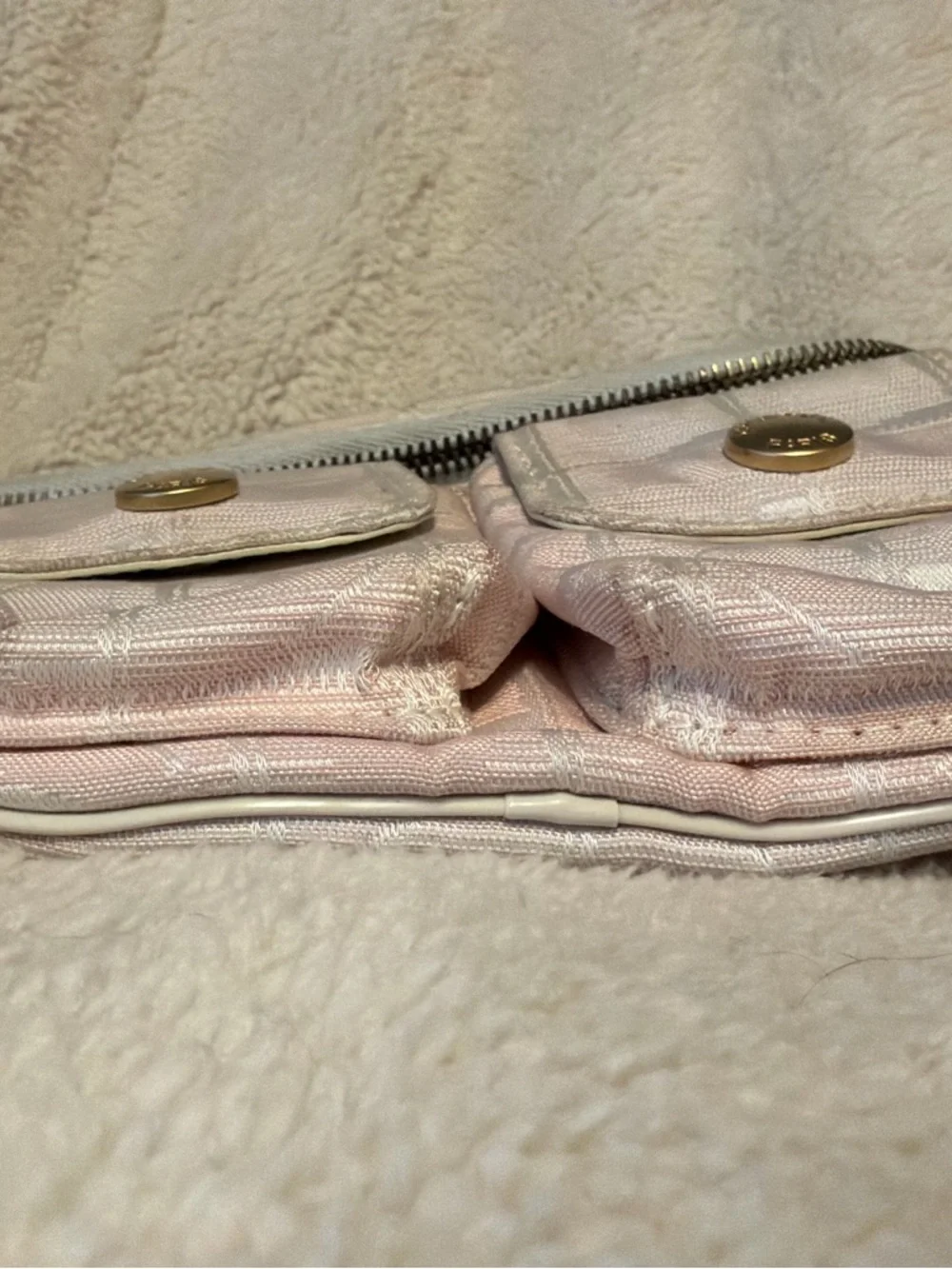 CHANEL Pink Quilted Mini Belt Bag with Gold Hardware - Picture 9 of 14
